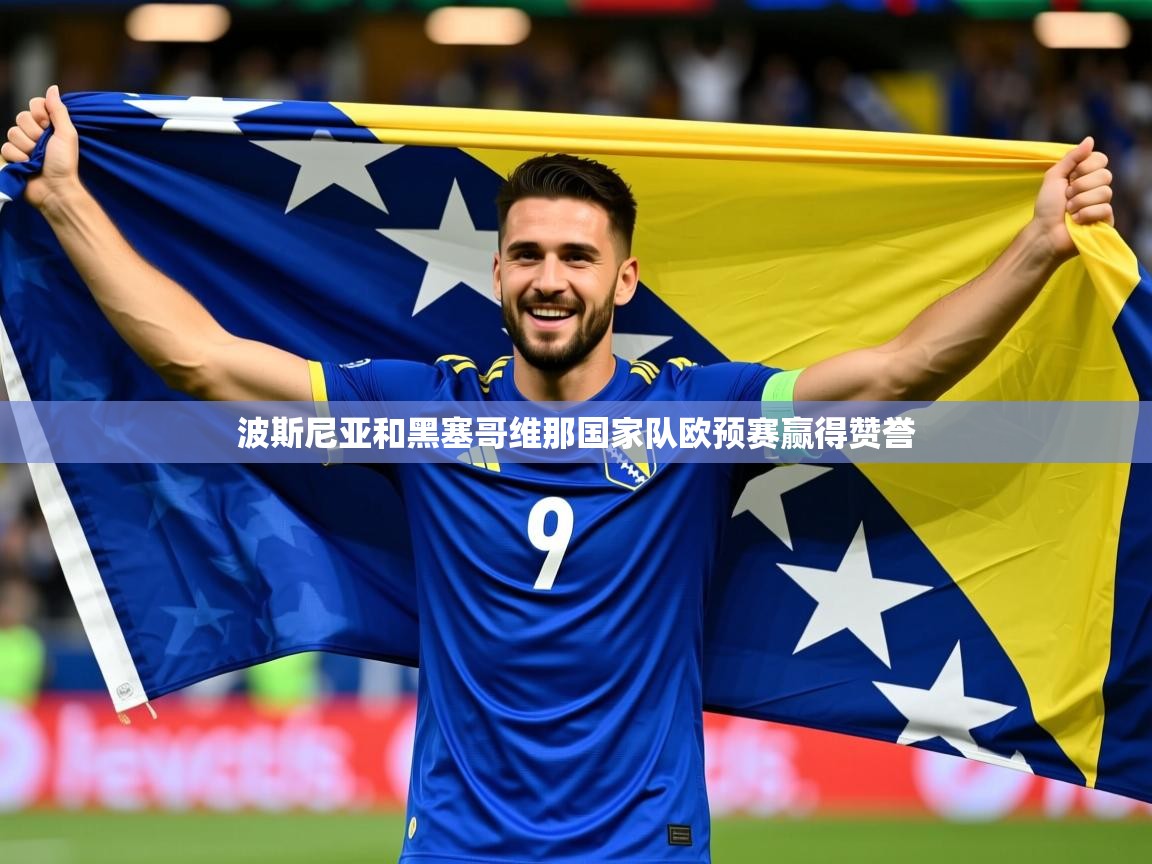 2026米兰体育网页版登录波斯尼亚和黑塞哥维那国家队欧预赛赢得赞誉