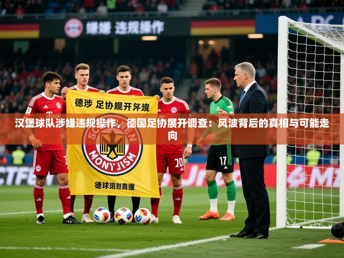 2026米兰体育平台登录入口汉堡球队涉嫌违规操作，德国足协展开调查：风波背后的真相与可能走向  第2张