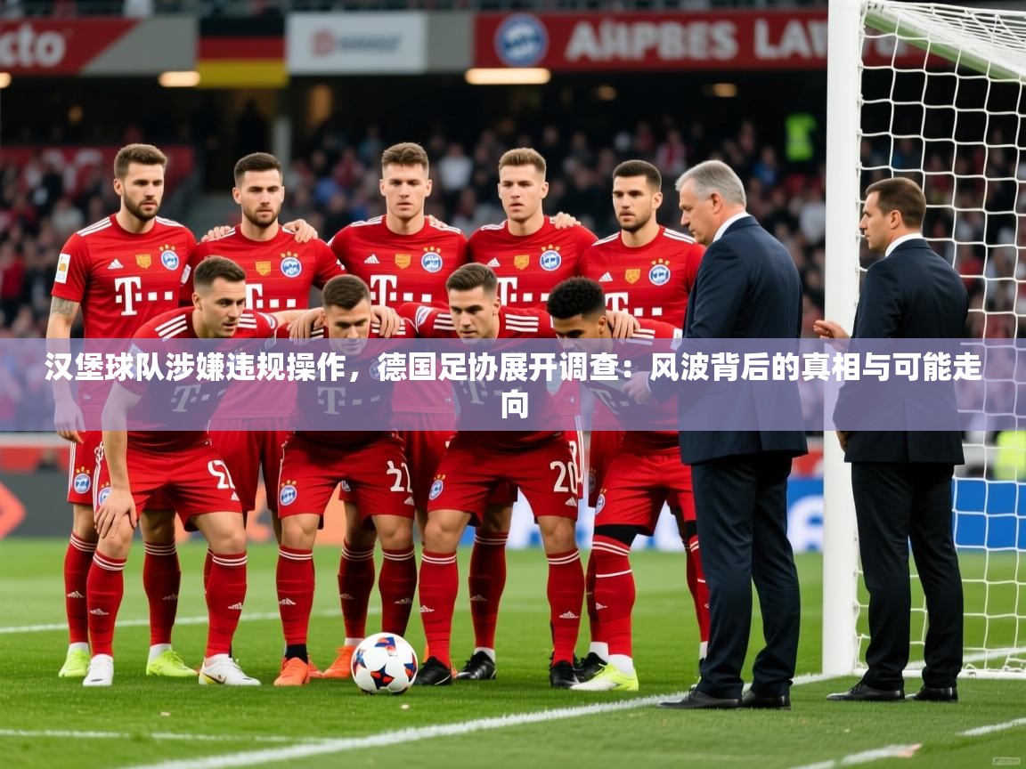 2026米兰体育平台登录入口汉堡球队涉嫌违规操作，德国足协展开调查：风波背后的真相与可能走向  第3张